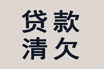 岐山清账公司